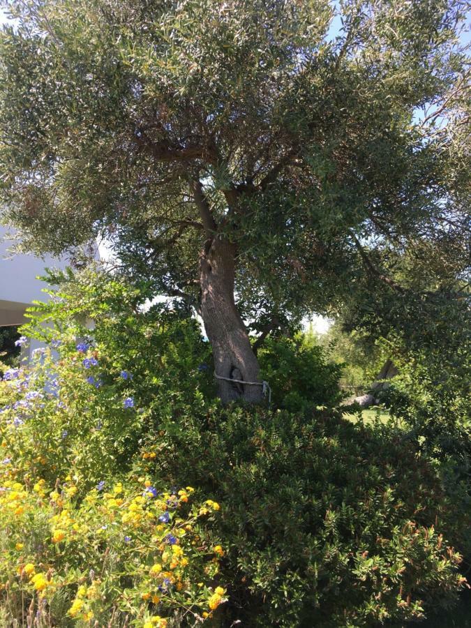Villa Nel Blu Dipinto Di Blu Polignano a Mare Esterno foto